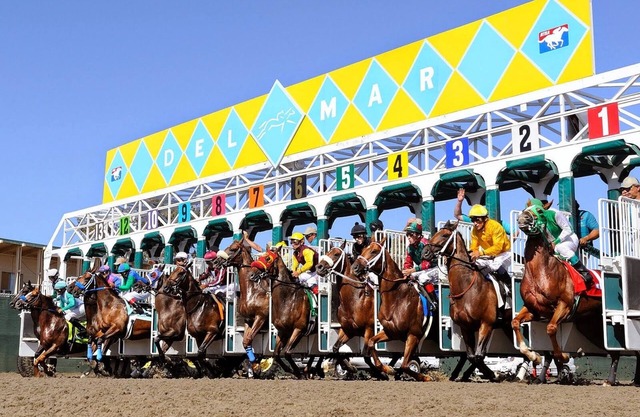 Run to Del Mar for Breeders Cup week! Spacious, fully equipped 1BR condo!