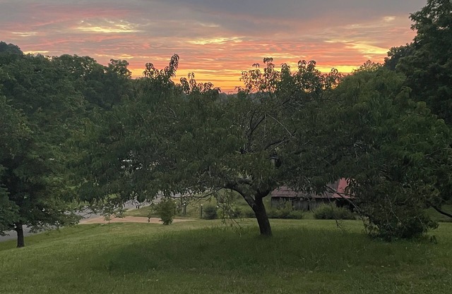 Rural Middle TN Home with View, 6 Beds & Work Desk