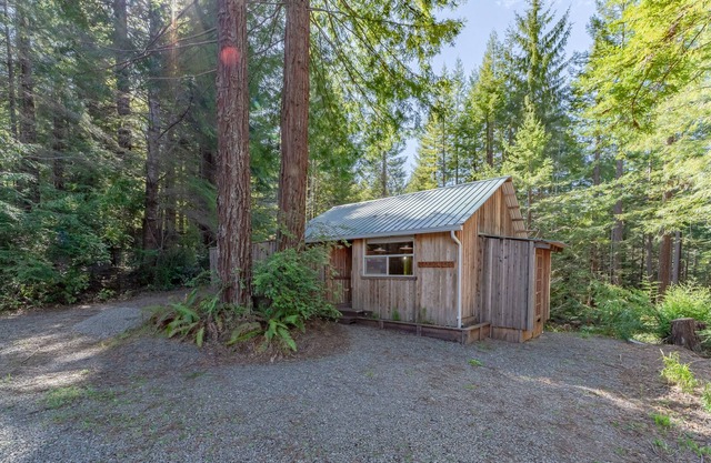 Rustic cabin w/deck, BBQ - beneath a canopy of redwood trees