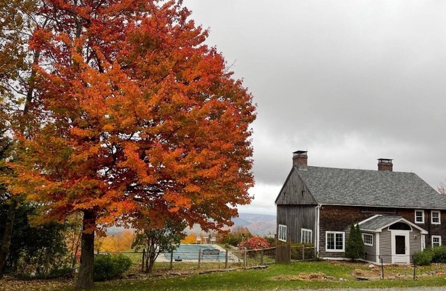Rustic, dog-friendly escape with private pool, sweeping views, & W/D