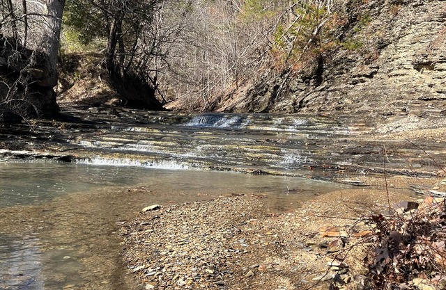 RV Campground at The Holler #9
