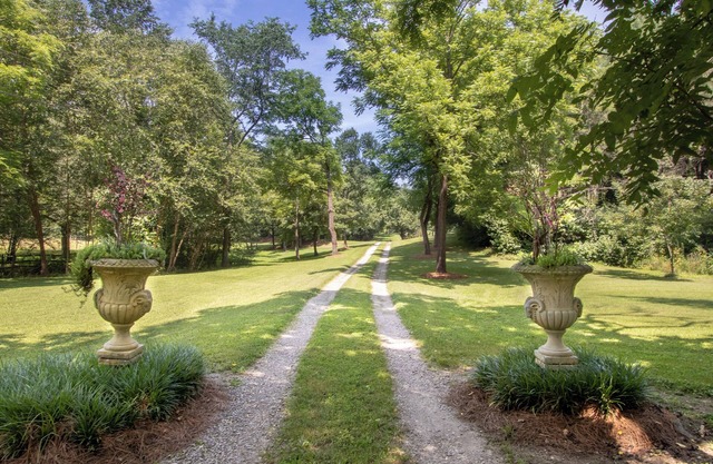 S. Asheville's paradise on 15 acres, well water, power, internet, barn, creek!