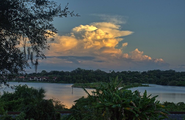 Safety Harbor Bird House with Lake View