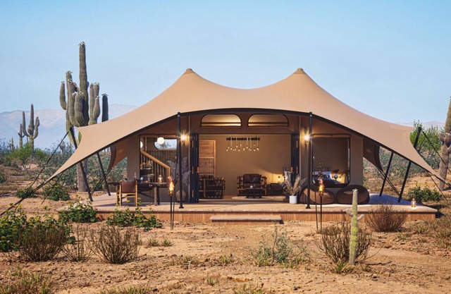 SaguaroGlamp