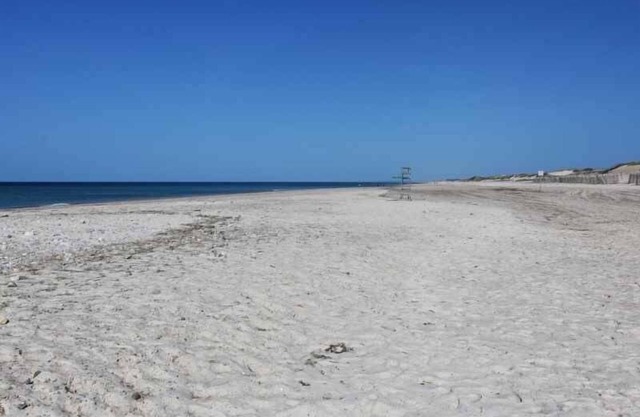 Sandy Neck Beach, Many Renovations, Walk to beach, Central AC, Private Yard
