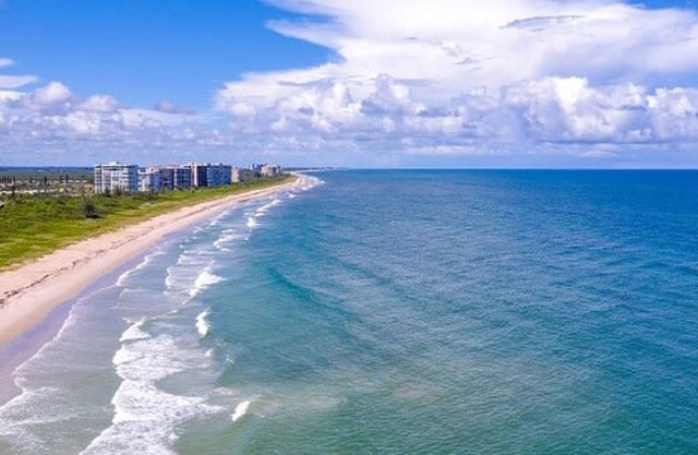 Sandy Shores 2BR Beach Getaway and Surf Spot