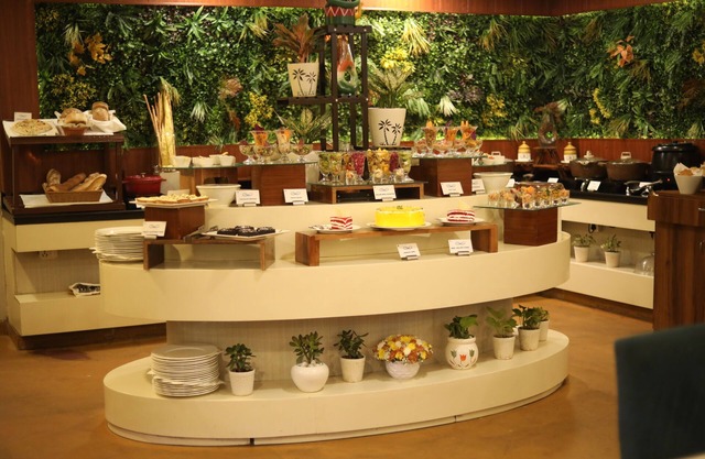 Sarovar Portico Naraina Delhi