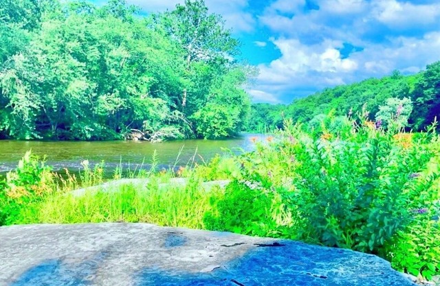 ★Scenic Views & River Access, Cozy River Home ★