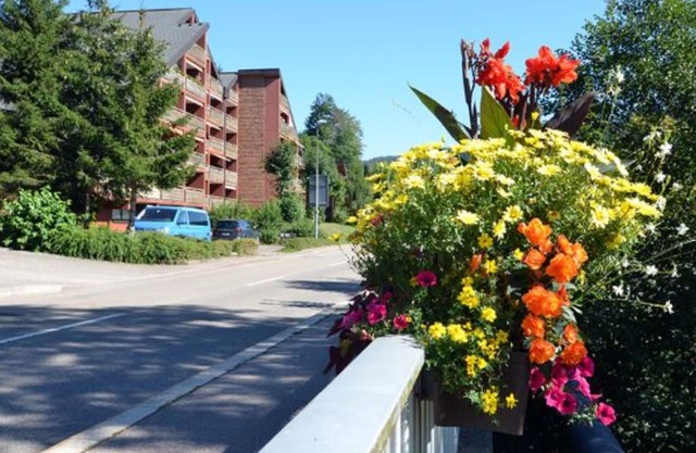 Schwarzwaldzauber-wunderschöne Ferienwohnung mit Pool und Sauna
