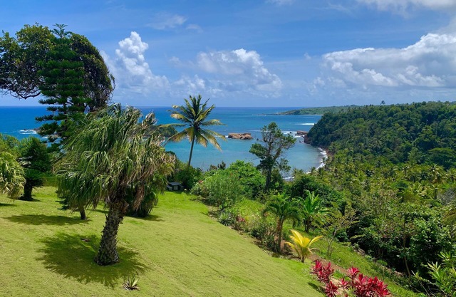 Sea Cliff Eco-Cottages & Gin Distillery