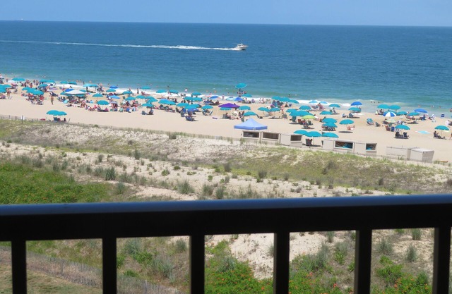 SEA COLONY EAST-Direct ocean view, wifi, 2 BR, 2 BA Read the reviews!