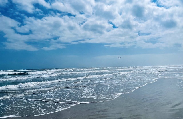 Sea Sounds | ★Beachfront★ | 2 Pools | First Floor Island Retreat 2 Bedroom Condo