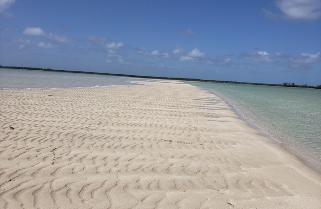 Seaside Getaway - where peace and tranquility are plenty!