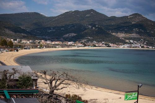 Seaview studio