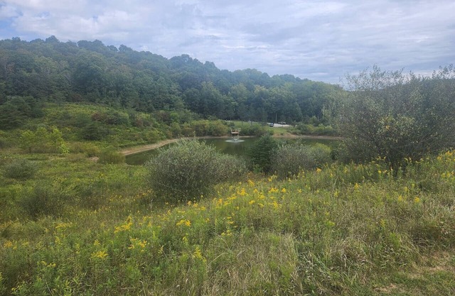 Secluded Cabin near Hocking Hills with Stocked Pond/Hot Tub on 40 acres
