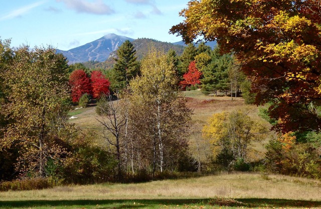 Secluded cottage! Amazing Views Whiteface Mtn & High Peaks! Great all 4 seasons!