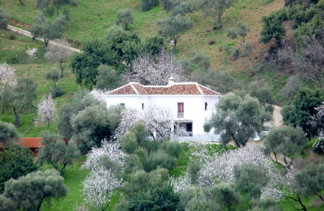 Secluded country house with pool in beautiful setting, views