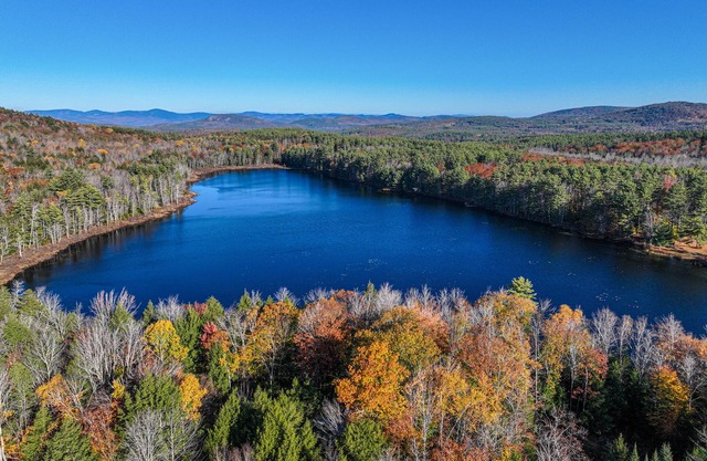 Secluded, dog-friendly home near pond with private hot tub, huge deck, & firepit