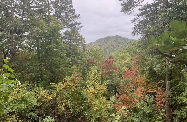 Secluded home in the mountains and 5 minutes from downtown. Pet friendly!