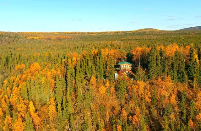 Serene Wilderness, Fly-in, Guest Cabins at Gold King Lodge, WiFi, Sauna & More