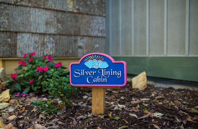 Silver Lining Cabin - Hello Relaxation! Sweet, well water, hot tub, pets