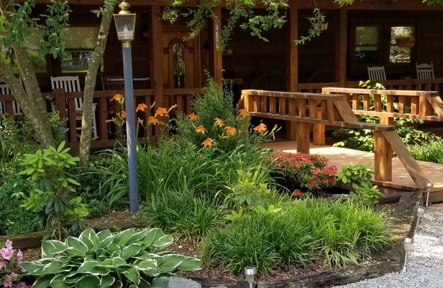 Single Pine Inn