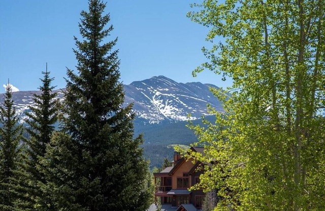 Ski In/out cabin style condo