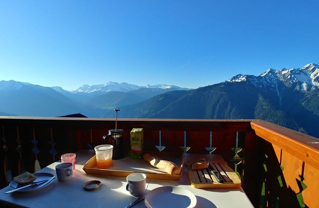 SKI IN SKI OUT BALCONY SOUTH WIFI DUPLEX 8-10 PEOPLE BISANNE 1500 LES SAISIES