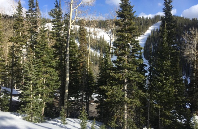 Ski-In/ski-Out At Eagle Point Ski Resort - Snowflake #12 - 1 Bedroom Condo