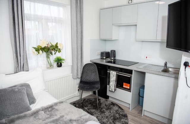 Small But Cozy Studio, Great Tube Connection (D)