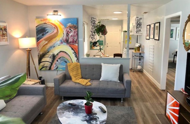 Smart Eclectic ART HOUSE near UC Davis Med Center