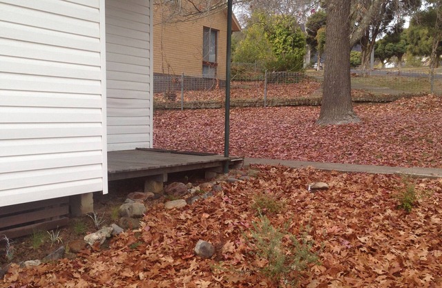 Snow Gum Cottage - Talbingo experience