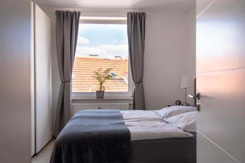 SOUL by Interior Apartments