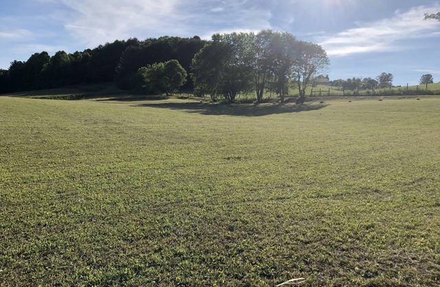 South Holston LAKE FRONT area for camping, has water from hose only. No hookups.