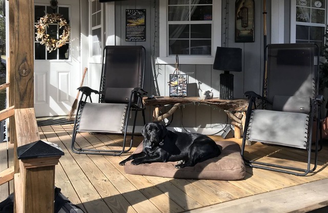 South Holston River Cabin Rentals 940 Bullock Hollow, Bristol TN