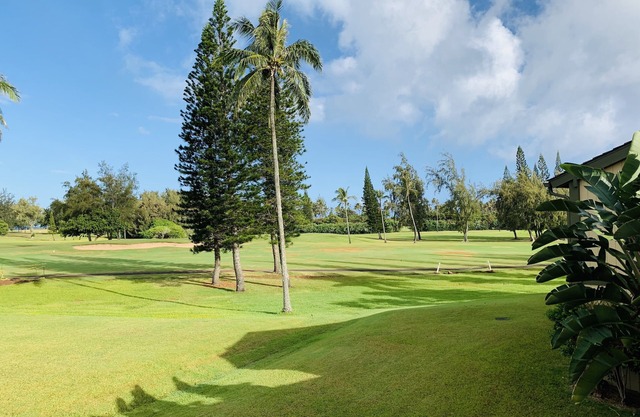Spacious 2 bedroom 2 bathroom on North Shore, with Turtle Bay golf course views!