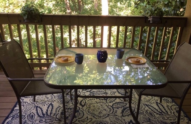 Spacious 2BR/2.5 BA condo steps to lake, DOG FRIENDLY!