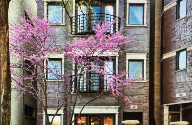Spacious 3/2 Duplex In Wicker Park Area