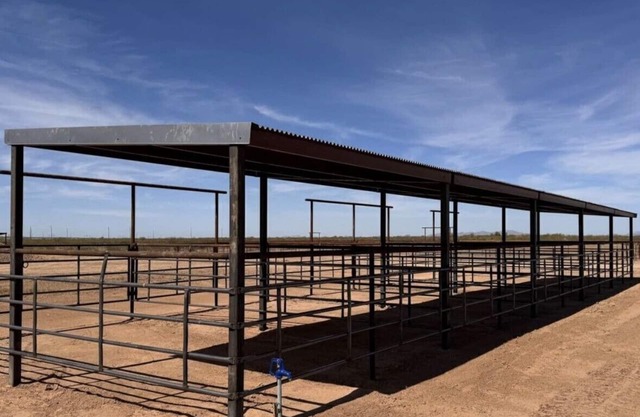 Spacious 4-bedroom house with up to 4 stalls for your horses. 1W26848n