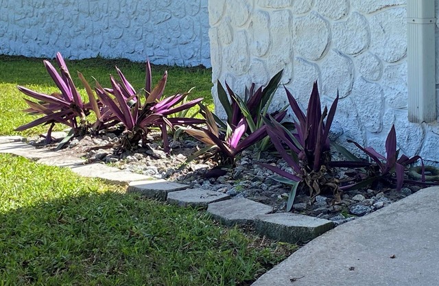 Spacious 4 bedroom with WiFi and AC in welcoming Port Orange Home away from home