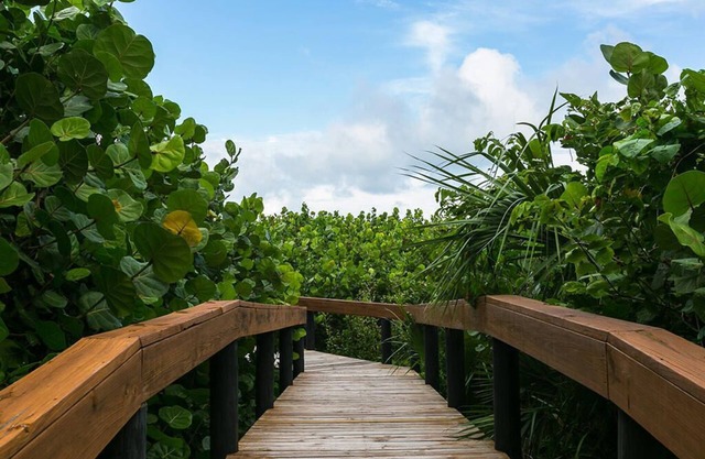 Spacious Beautiful Beach Side Condo