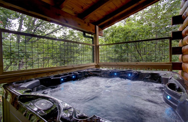 Sparkling clean handicapped-friendly cabin with theater room in the Smokies!