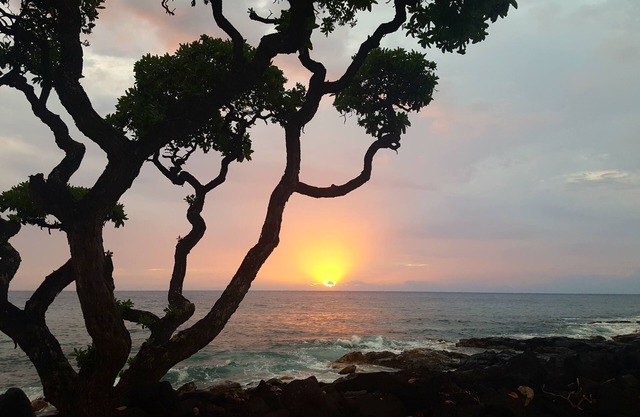 SPECTACULAR OCEAN VIEW at waters edge. Close to Kona Town shops and activities.