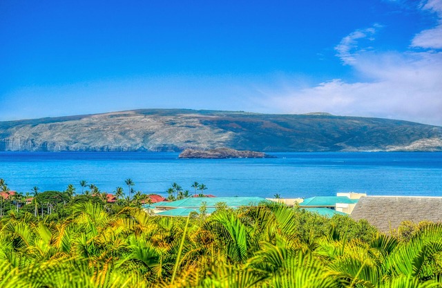 Spectacular Ocean Views! 5 Star Reviews! ʻIke Kai at Wailea Ekolu Village