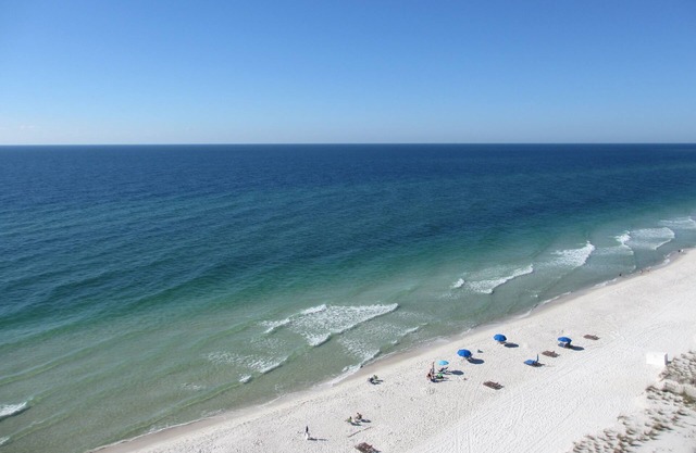 Spectacular Views: 11th Floor Gulf Front Gulf Tower Condo