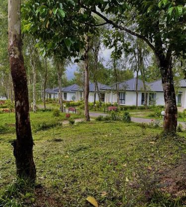 Spicy Nest Resort