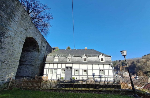 Stachelburg - apartment with fireplace room- apartment with terrace