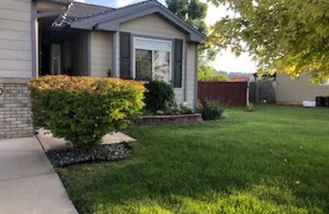 Star of the Neighborhood