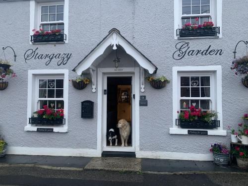 Stargazy - a truly unique cottage