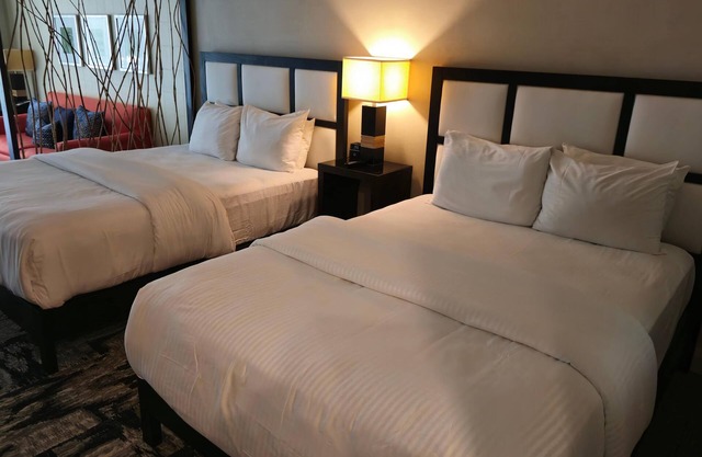 Stay Near the Dolphin Mall, King Studio, kitchen